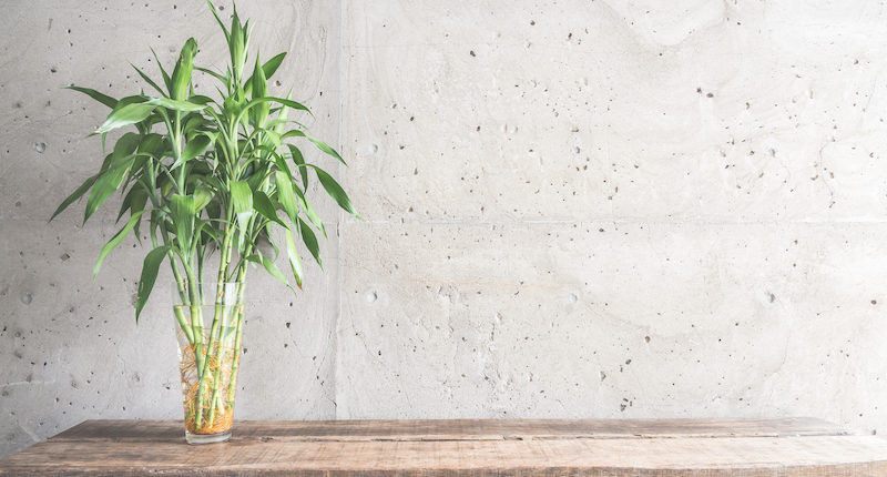 Судова практика: Право на спадкування у четверту чергу за законом за умови неперебування осіб у будь-якому іншому шлюбі.